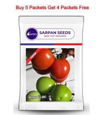 Tomato Sarpan 801- 5 grams